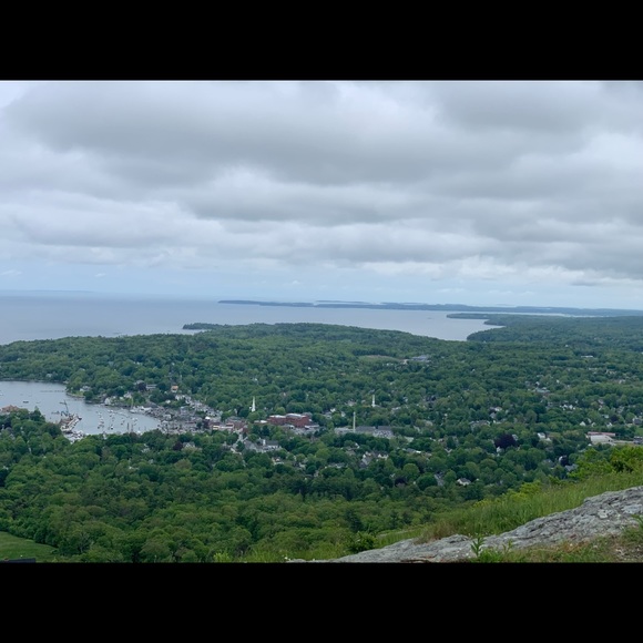 Meet your Posher, Shelby - Picture 1 of 1